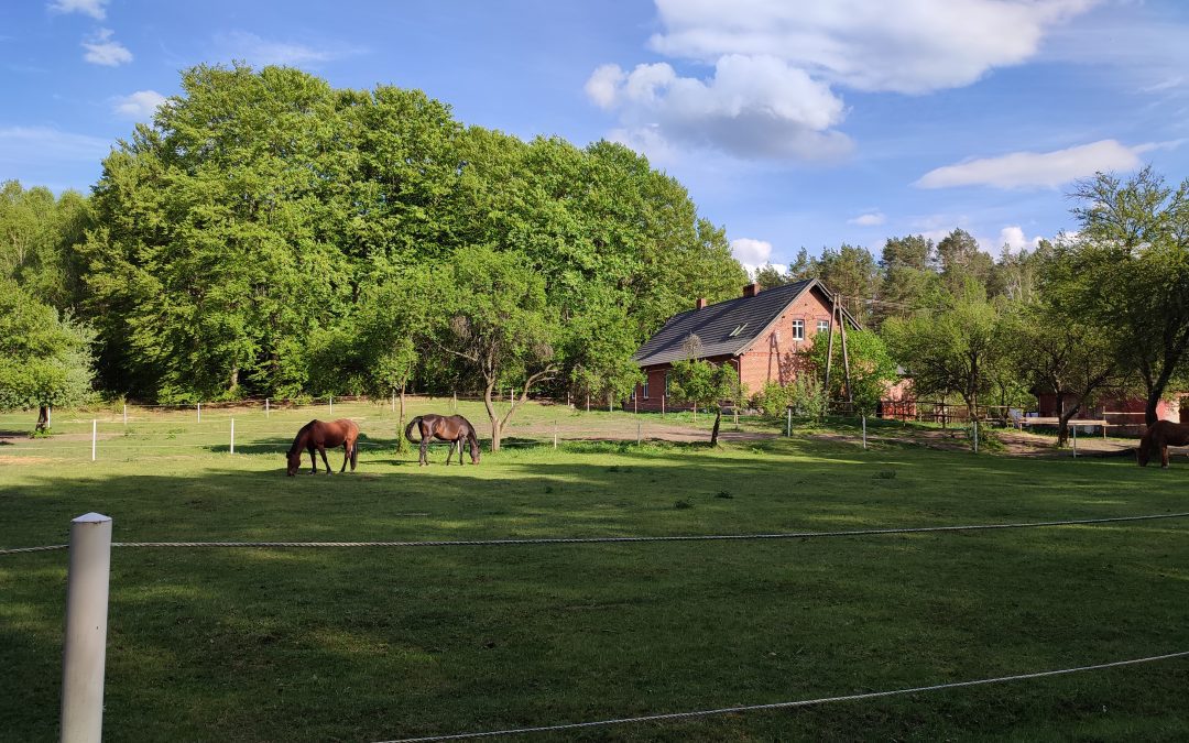 Jak spędzić wakacje w leśniczówce